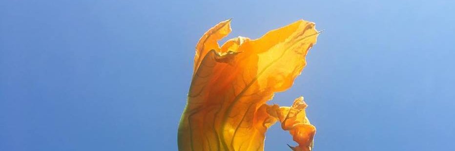 EmmaScottAiton's profile banner image