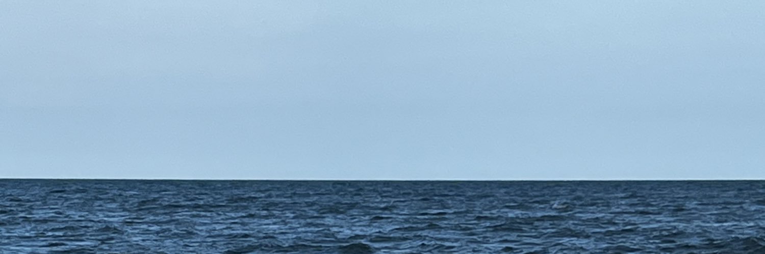malocingicms's profile banner image