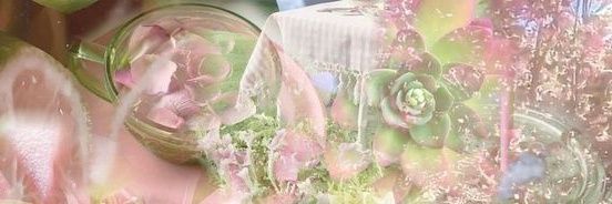 Seattlebrisbane's profile banner image