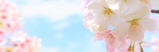 EventYamagata's profile banner image