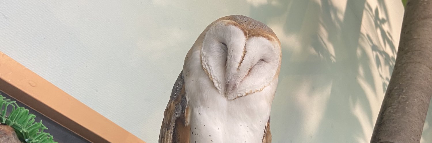 Ea2Nt's profile banner image