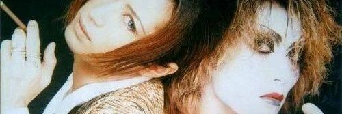 moxxi banner