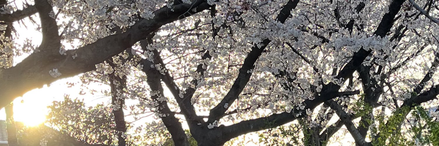 fireflower777's profile banner image