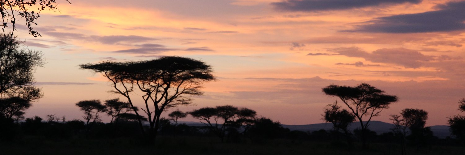 ShadowRedbeard banner