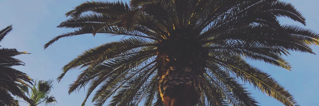 amykathleen's profile banner image