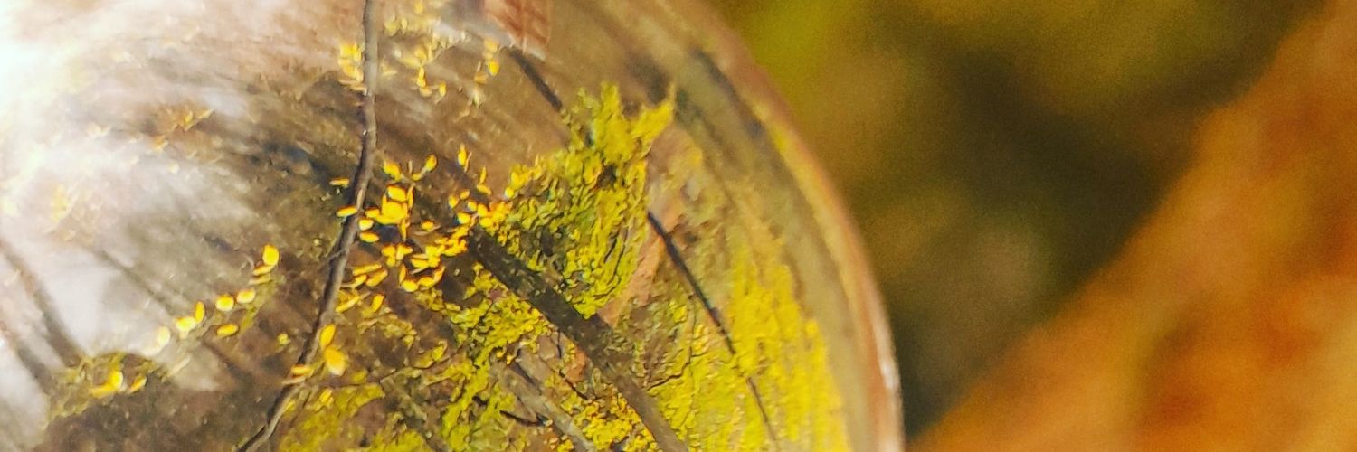 Mehmetix27's profile banner image