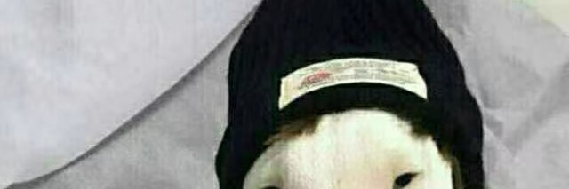 Erica banner