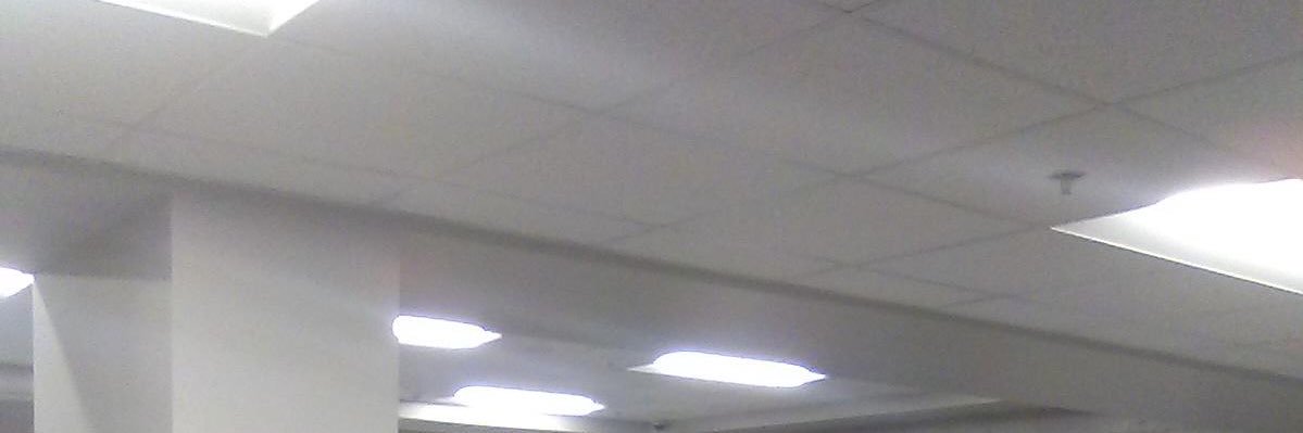 水淼森木 banner