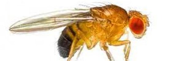 FlyKcl Profile Banner