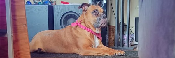 AustinBudden Profile Banner