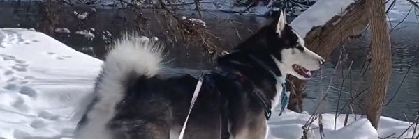 AustinBudden Profile Banner