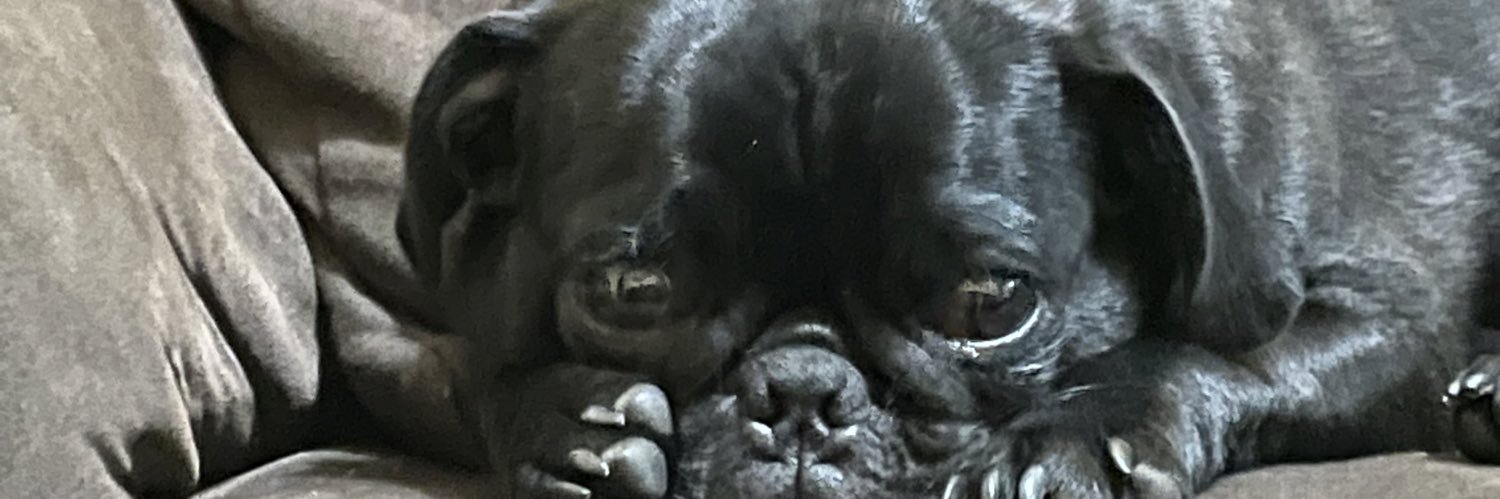 roydpennant's profile banner image