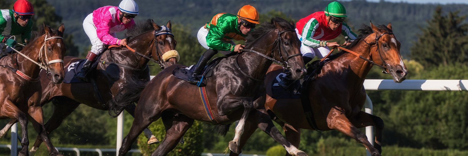 Haphazard Racing Inc. banner