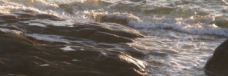 nxscubo_ ˶‾᷄ ⁻̫ ‾᷅˵ banner