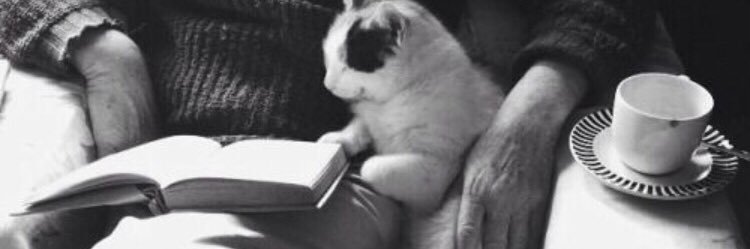 ‏᷂بارفيٰ ¦ ✿ banner