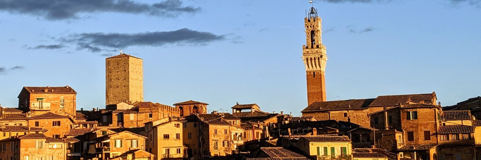 zeeck's profile banner image