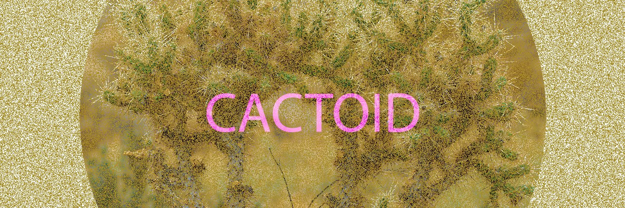 Cactoid Labs banner