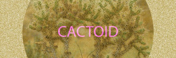 Cactoid Labs Profile Banner