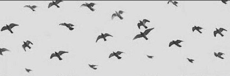 مريم. banner