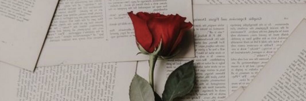 nessakaputri's profile banner image