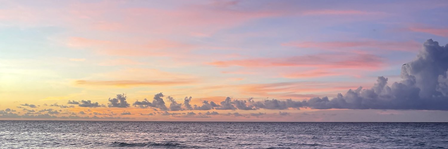 merlin pérez banner