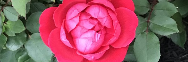 MayraParada0104 Profile Banner