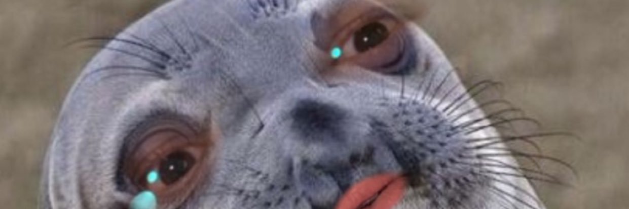 ahoffmann14's profile banner image