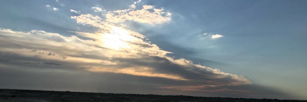 SofiCodarini's profile banner image