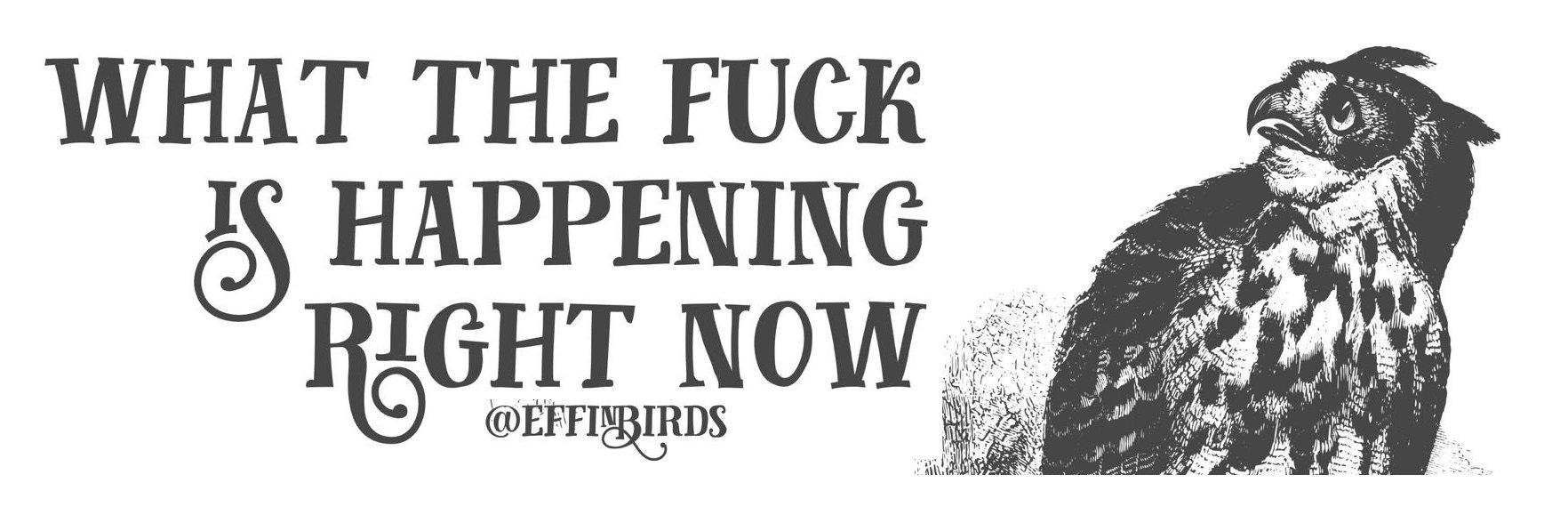 f_giunta's profile banner image