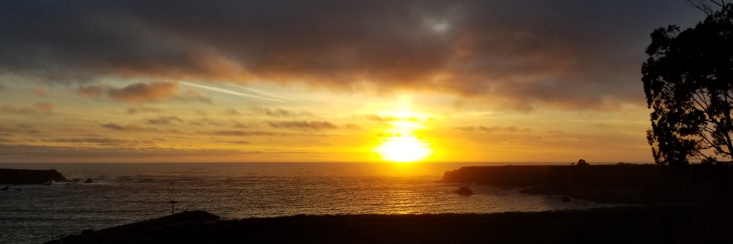 Casual_Observer2022 banner