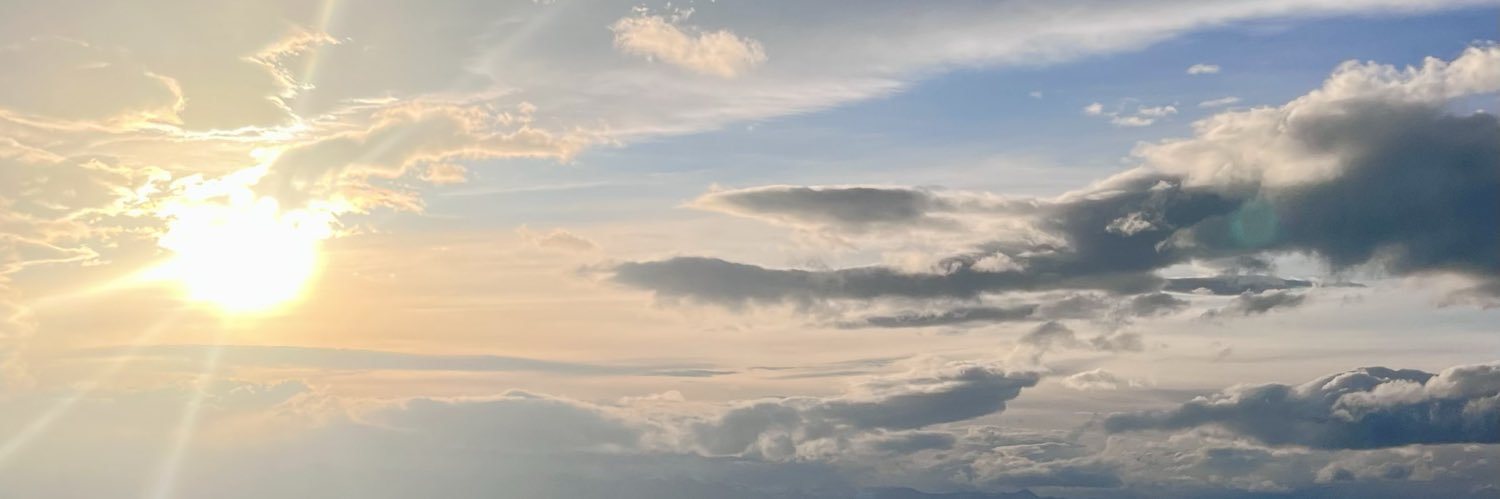 aanimar's profile banner image