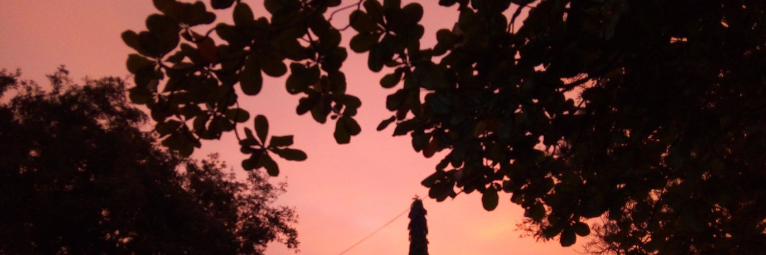 Phrukey's profile banner image