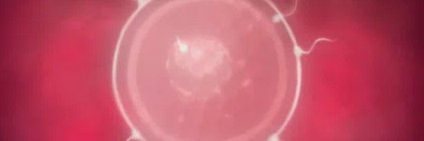 Slt_uwu's profile banner image