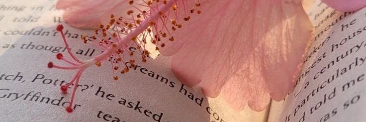 Atheer4__'s profile banner image