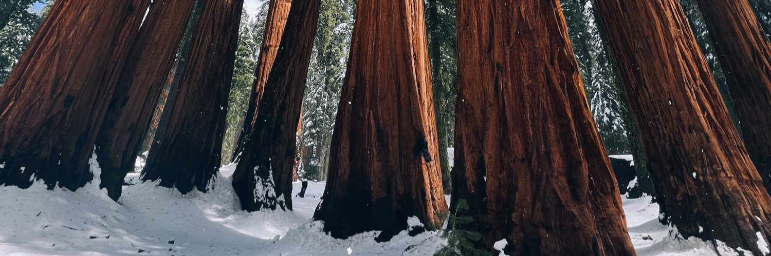 cuttermacleod's profile banner image