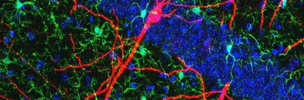 Ales_matera Profile Banner