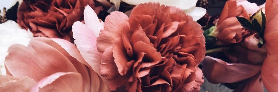 noorreel's profile banner image