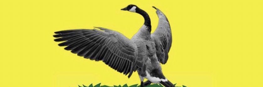 benbenchia's profile banner image