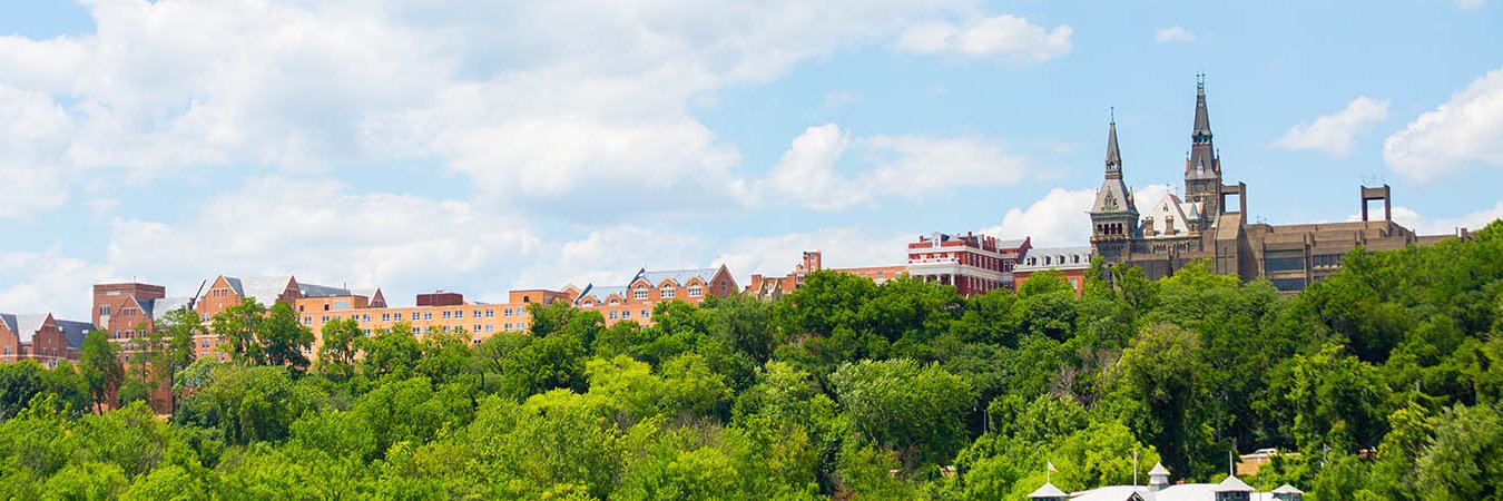 Collaborative on Global Children's Issues banner