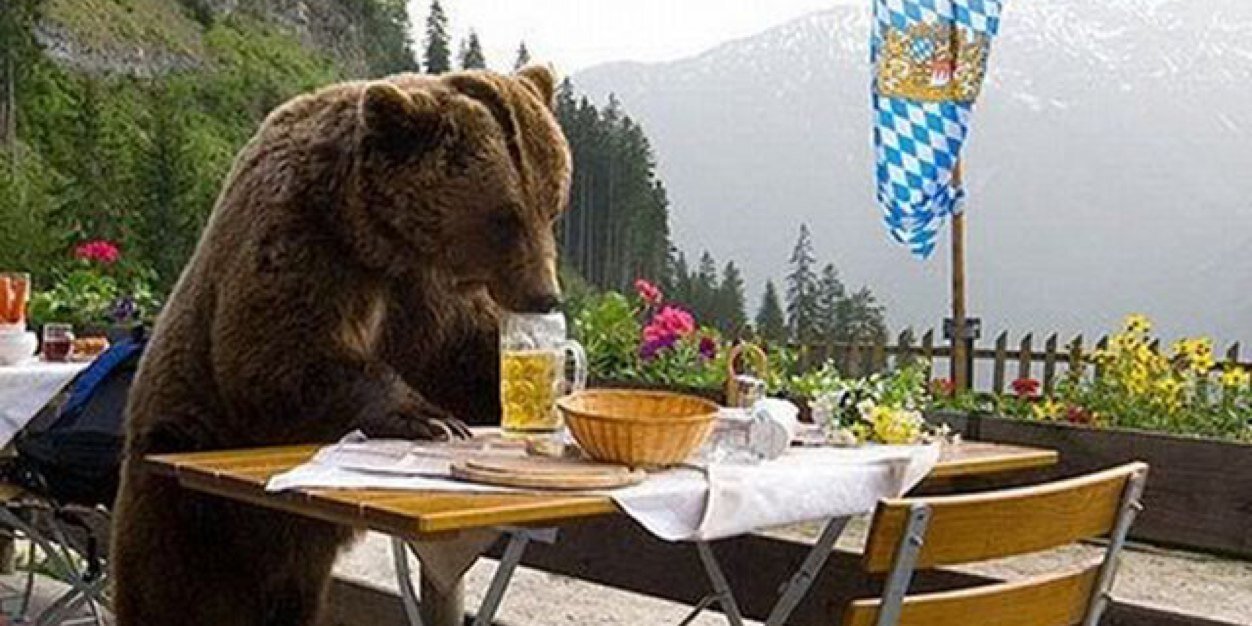 UCFBear's profile banner image