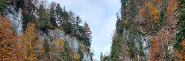 p_elef Profile Banner