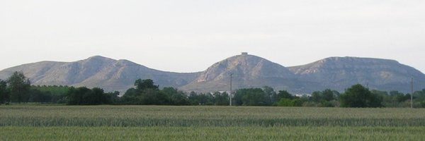 joanmargall Profile Banner