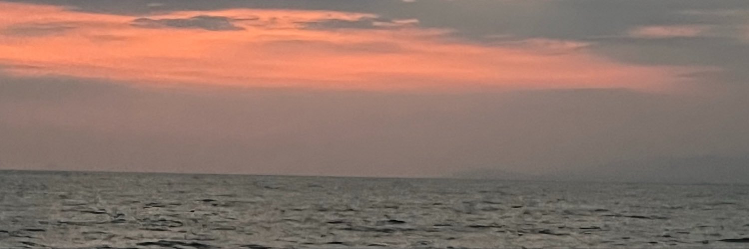 iamdickvg's profile banner image