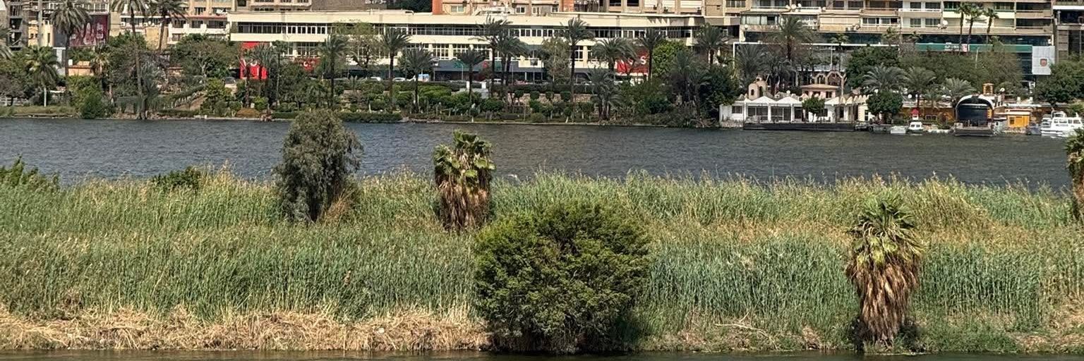 ساره أحمد banner