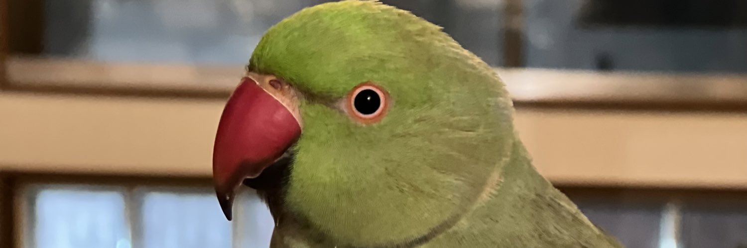 MEIOKI's profile banner image