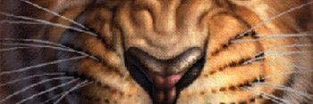 Tito Falcón banner