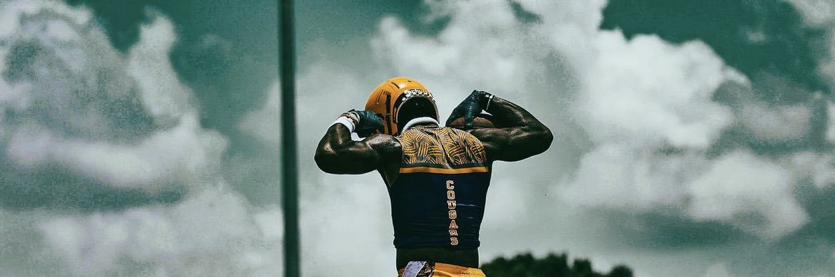 TaRon “Manchild” Francis banner