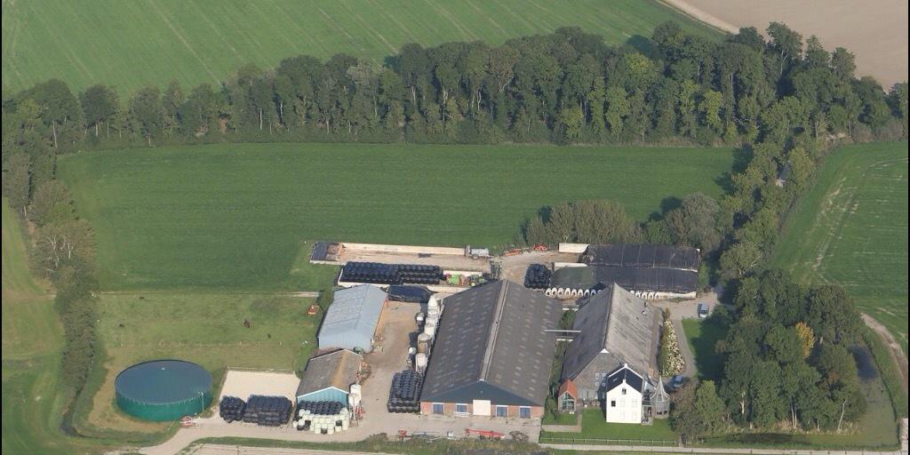 R.R.Iwema 🐄 banner