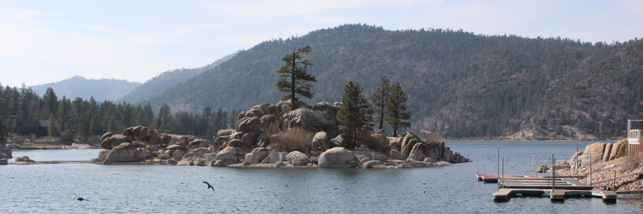 Fr. Michael Fanous banner