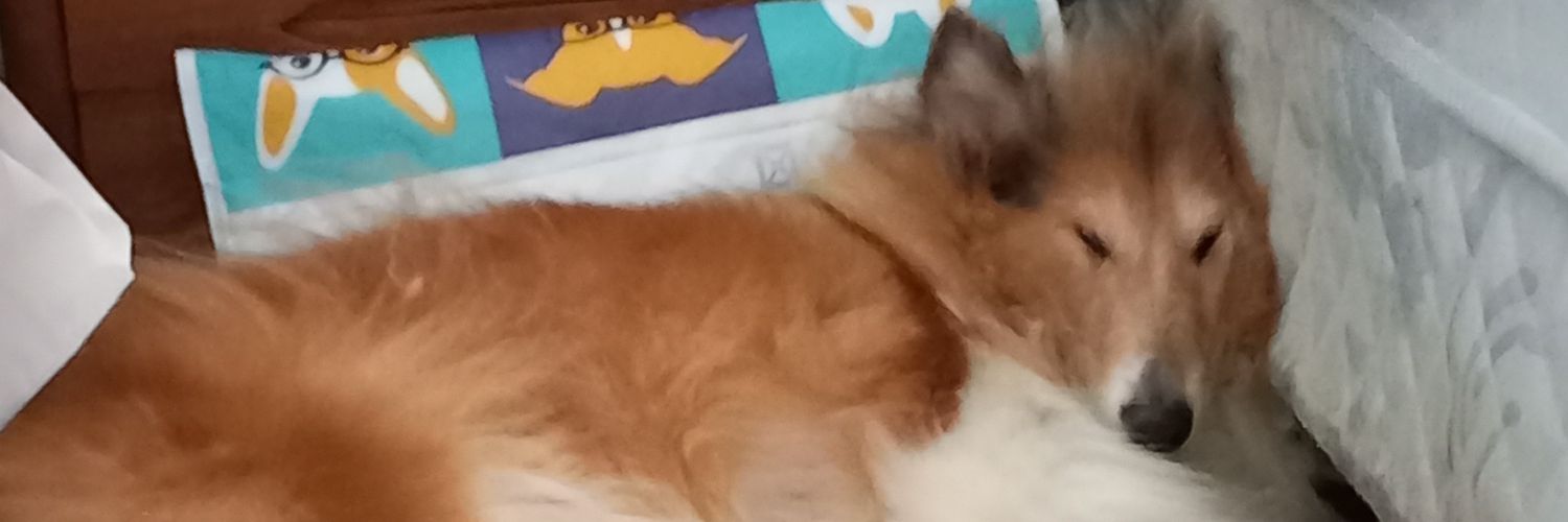 sebadevi's profile banner image